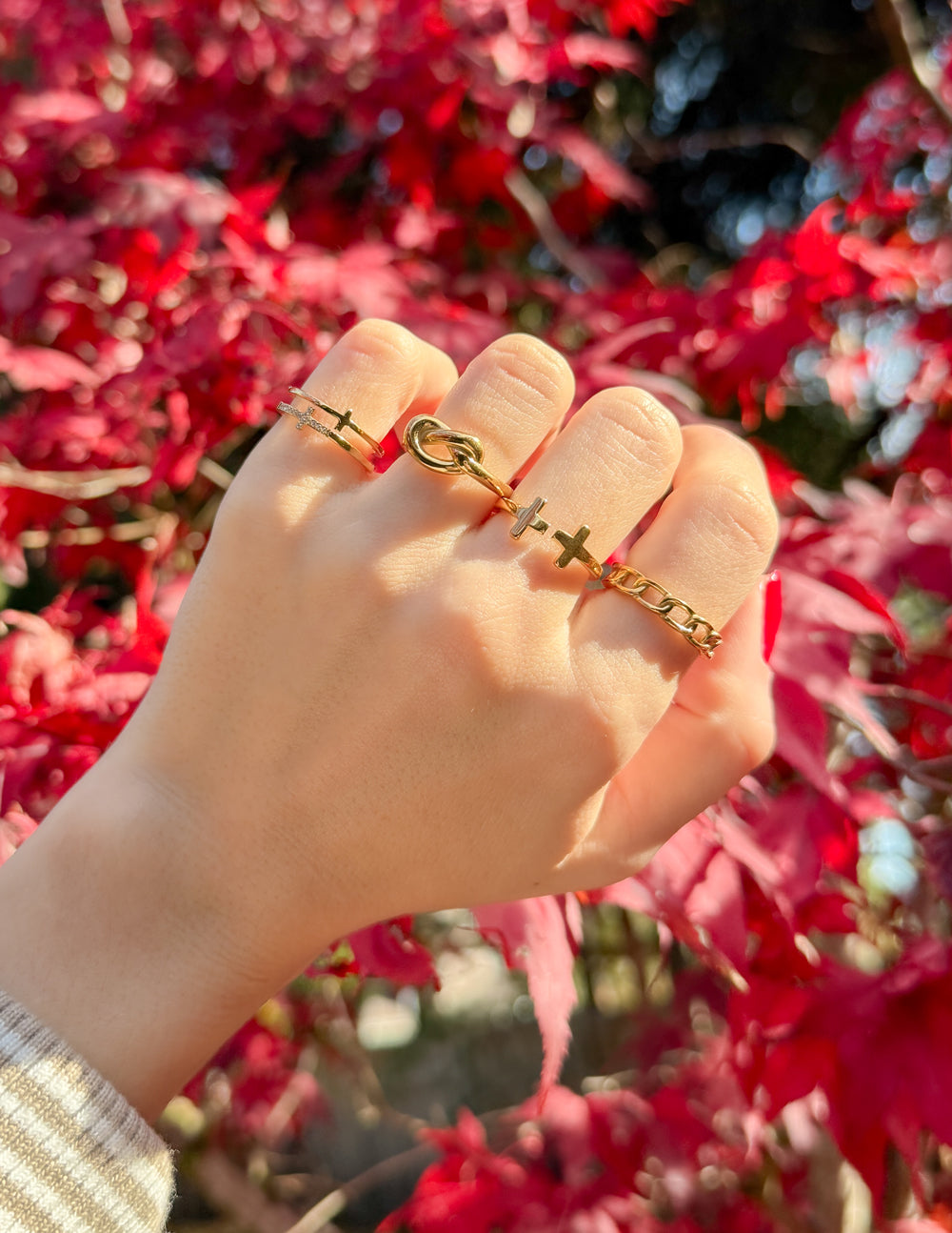 Chain Ring